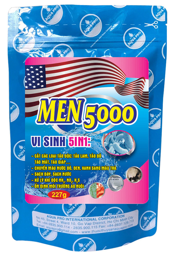 MEN 5000